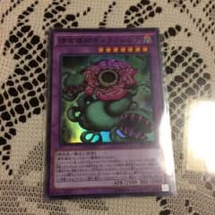 キメラフレシアのサムネイル
