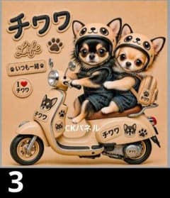 オーダーページ ハンカチ40 スクーターわんこ柄 ハンドメイド5/18