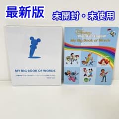 未開封・新品】MY BIG BOOK OF WORDS DWE ディズニー英語 - メルカリ