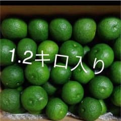 徳島県神山産の無農薬すだち約1.2キロのサムネイル