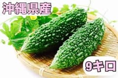 ゴーヤ　苦瓜　沖縄県産　9キロ　送料込み 冷蔵発送 ゴーヤ 苦瓜 沖縄県産 9キロ 送料込み 冷蔵発送 - メルカリ