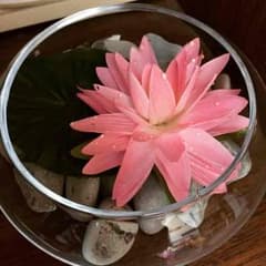 TAKAO様専用です。のサムネイル