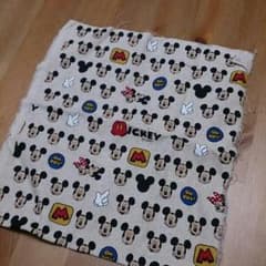 ミッキー ミニー はぎれのサムネイル