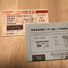 2025年3月29日 コストコ駐車場のサムネイル
