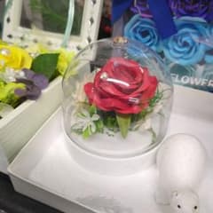 赤いプリザーブドローズ ガラスドームのサムネイル