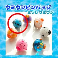 ミゾレウミウシ ピンバッジのサムネイル