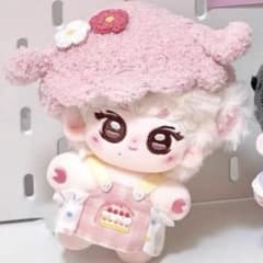 10cm ENHYPEN ジョンウォン JUNGWON ぬいぐるみ㉛ - メルカリ
