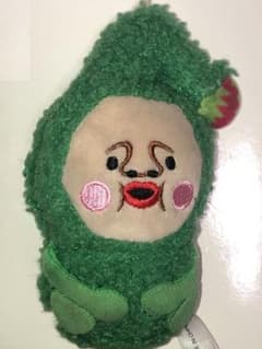 マモリコモリ　ぬいぐるみ　こびとずかん　かわいい　緑色　小人図鑑のサムネイル
