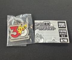 포켓몬 메탈 매력 피카츄 30주년