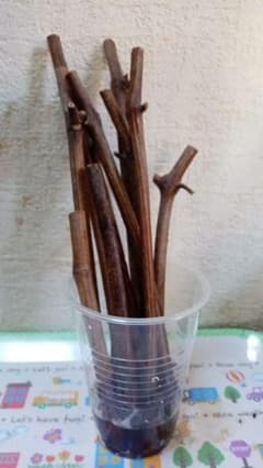 ぶどう台木剪定枝 テレキ 10本（その25/今季最終品） - メルカリ