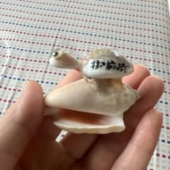 亀の置物 貝殻細工 御前崎のサムネイル