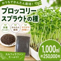 ブロッコリースプラウト専用種子　1000ml ネコポス配送　高発芽率種子のサムネイル