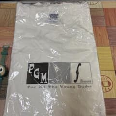 PGM Ibanez Tシャツ For All The Young Dudesのサムネイル