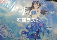 ラブライブ！ 園田海未 ブシロード ラバーマットコレクション Vol.40