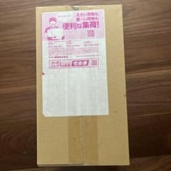포켓몬 카드 스칼렛 & 바이올렛 스페셜 BOX 후쿠오카