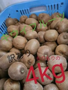 キウイフルーツ　4kg 訳あり！のサムネイル