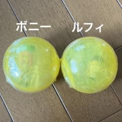 ワンピの実　第十六海戦　ルフィ/ボニー　ガチャガチャのサムネイル