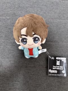 BTS TinyTAN DNA 치비구루미 vol.2 국종국