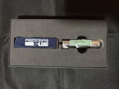 P3R Protagonist MP3 Replica