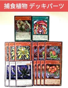 遊戯王 捕食植物 新規デッキパーツ 計15枚 - メルカリ
