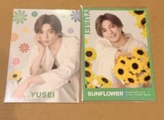 FANTASTICS 八木勇征 SUNFLOWER シクレ ノーマル - メルカリ