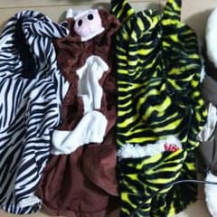 小型犬の服のサムネイル