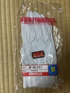 R-MAX1 Mのサムネイル
