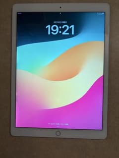 バッテリー94%】iPad Pro 12.9 第2世代 64GB セルラー - メルカリ