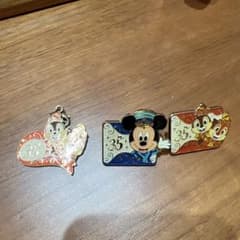 東京ディズニーリゾート 35周年 ピンバッジ2点とチャーム - メルカリ