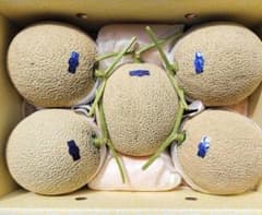 高知産 約9，6kg 5玉 温室マスクメロン 家庭用 北海道沖縄発送