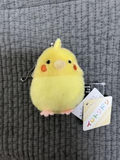 イロトリドリ 鳥 ぬいぐるみ がま口のサムネイル