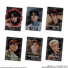 SEVENTEEN(세븐틴) THE8 스티커 2장 세트