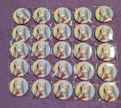 プロセカ感謝祭2025 オーロラ箔押し缶バッジコレクションB 宵崎