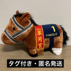 【タグ付】ソールオリエンス ふわふわBIGぬいぐるみ