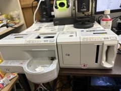 m84552299375_1.jpg?1723887074