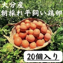朝採れ平飼い卵 320個 大分県佐伯市産 大分県佐伯市産 朝採れ平飼い鶏卵 20個入り - メルカリ