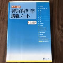 神経解剖学講義ノート : カラー図解のサムネイル