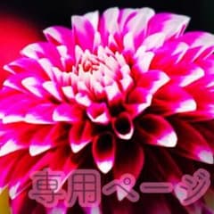 ikkun様❁専用のサムネイル