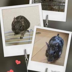 3児りらmama様 専用のサムネイル