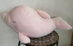 即発送 もちもち ピンク ジンベイザメ ぬいぐるみ 抱きぐるみ 水族館 抱き枕