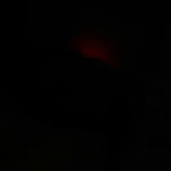セパタクローのサムネイル