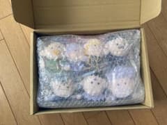 台湾限定HUNTER×HUNTER×XRAGEヒソカのおもちゃ箱⭐️期間限値下げ 台湾限定HUNTER×HUNTER×XRAGEヒソカのおもちゃ箱⭐️期間限値下げ