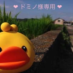 ❤︎ドミノ様専用❤︎のサムネイル
