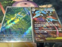 ケロマツar & メガゲッコウガex srセット
