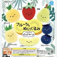 【ひまわりんこ様専用】フルーツ　メロン　洋梨　ブルーベリーの3点セットのサムネイル