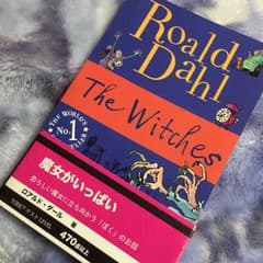 小説 カバーありで美品のサムネイル