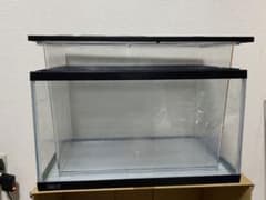 GEX マリーナ 45cm LOW水槽　BIGプラケース水槽のサムネイル