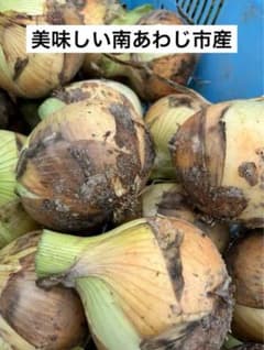 淡路島玉ねぎ　新玉ねぎ　10キロ　3Lのサムネイル