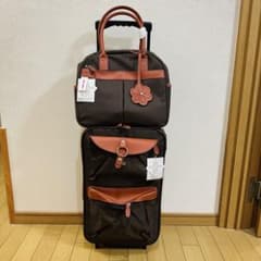 【新品タグ付き】 anan キャリーバッグ キャリーオンバッグ 2点セットのサムネイル