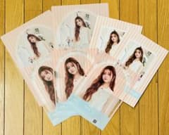 m84592905167_1.jpg?1751454113